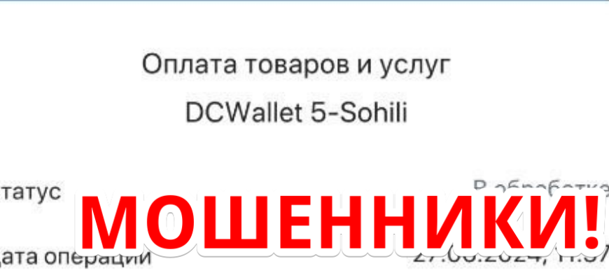 Dcwallet 5-sohili