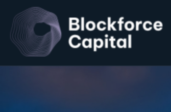 Логотип компании blockforcegroup