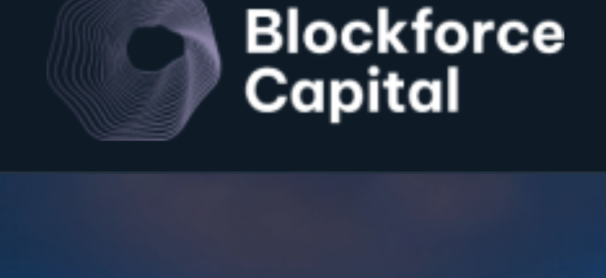 Логотип компании blockforcegroup