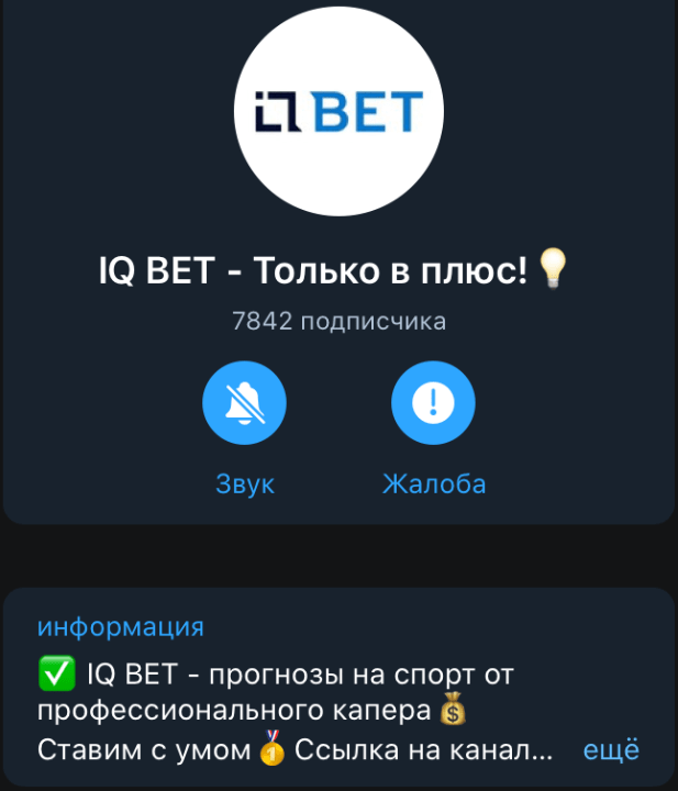 IQ BET каппер