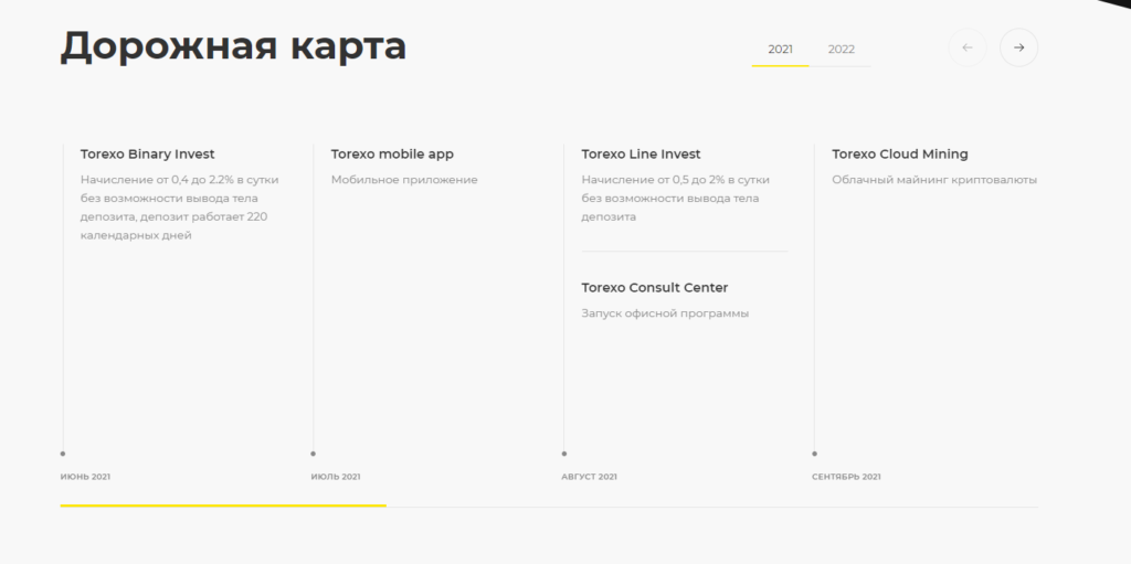 Дорожная карта Torexo