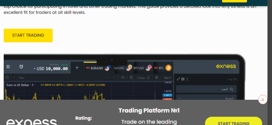 Ex-investment (Exness)