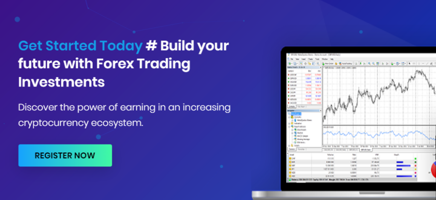 expertbulltrade